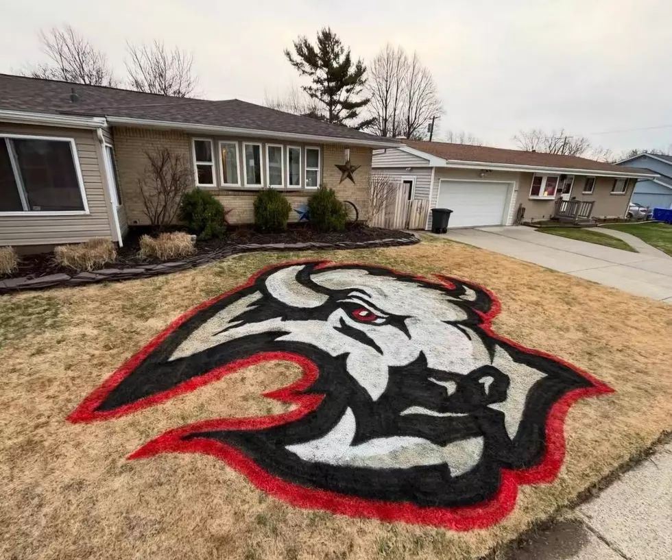 WNY Company Offers MASSIVE Sabres Logo in Fans Front Lawn