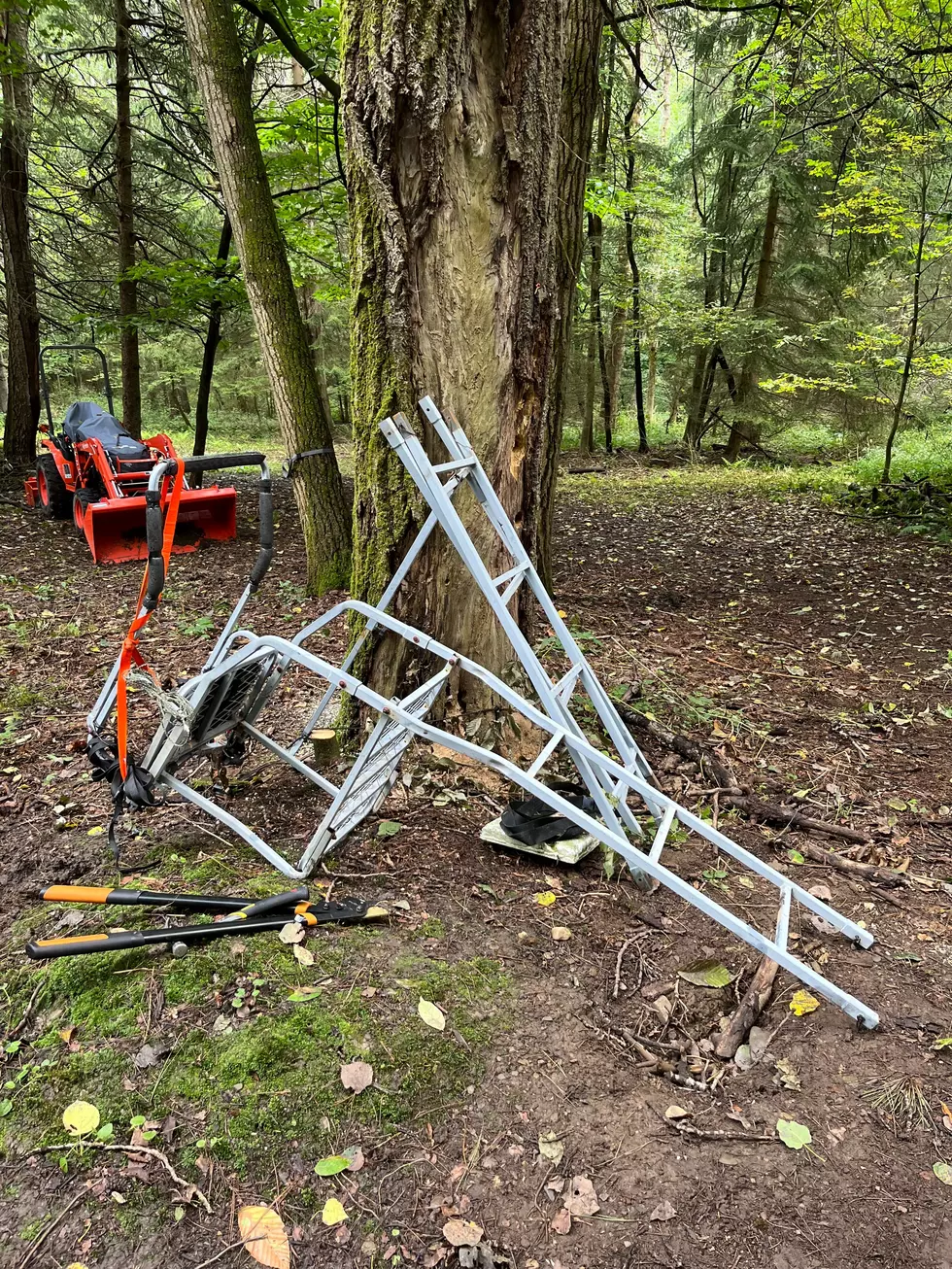 This New York State Tree Stand Law is Raising Eyebrows