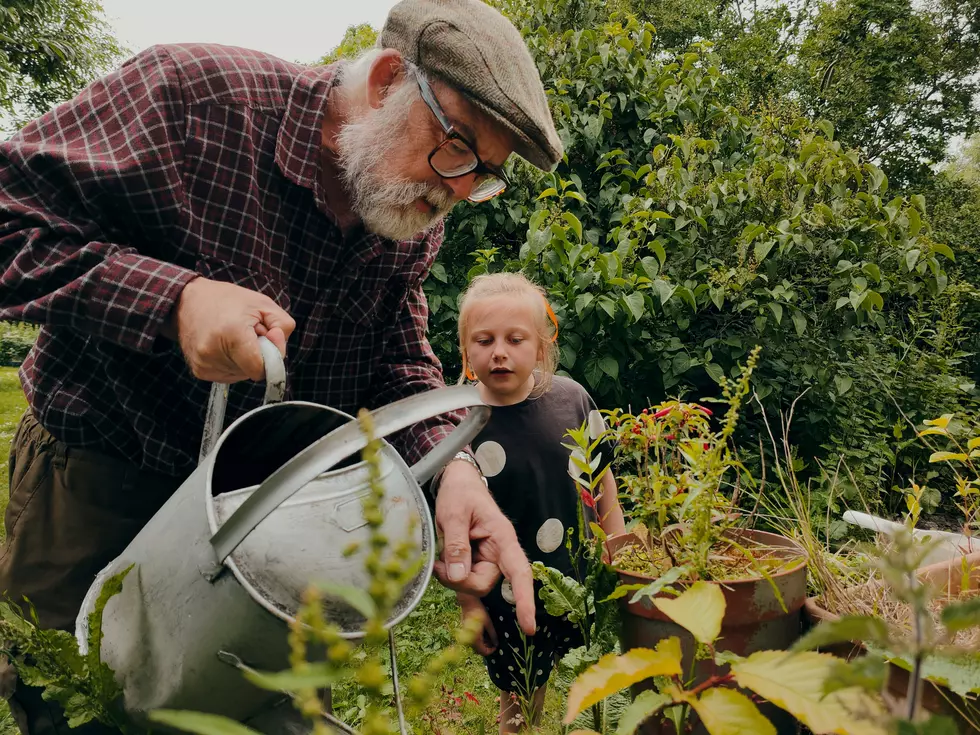 Here’s How To Get Rain Barrels & Compost Bins From Erie County