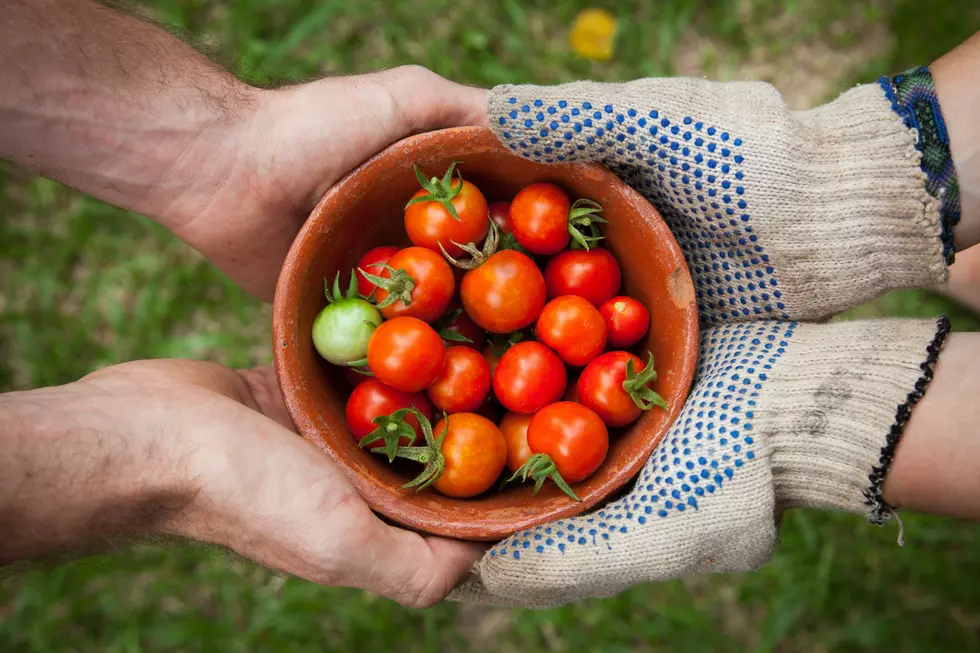 New WNY Program Could Get Your Kids Excited About Farming