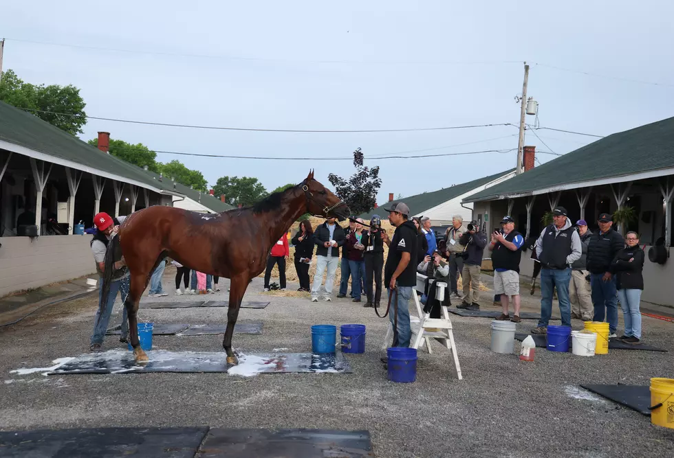 Horse Stables Set on Fire by 33-Year-Old Man at Batavia Downs