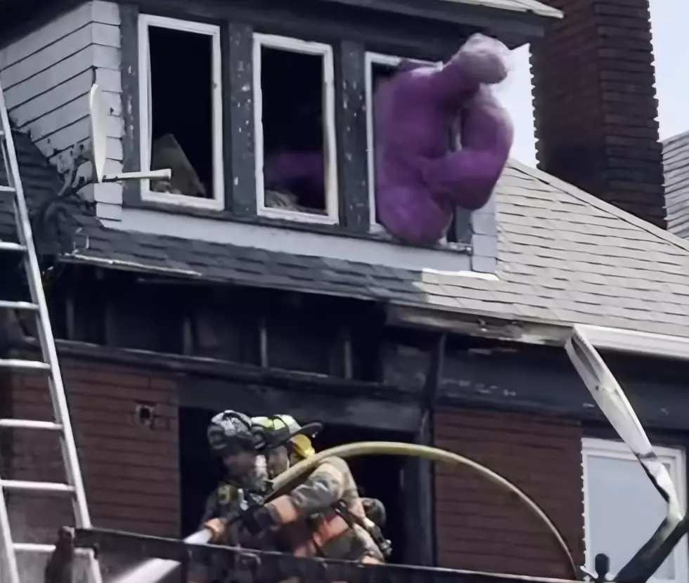 Buffalo Firefighters Send Unusual Surprise Out the Window in Viral Video