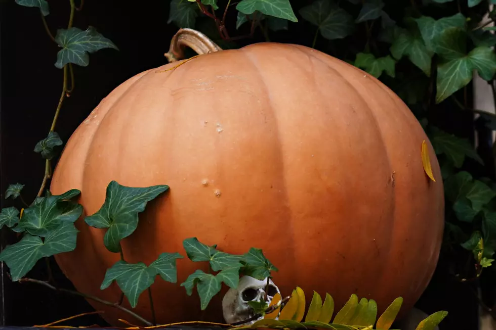 5 Reasons Why Fall Is The Best Season In Western New York